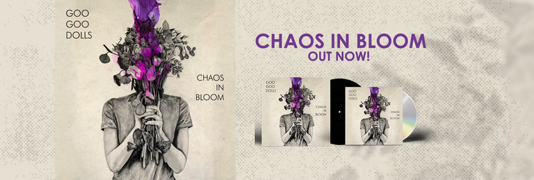 Chaos in Bloom