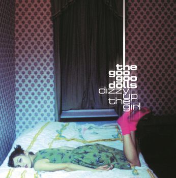 Dizzy Up The Girl Vinyl